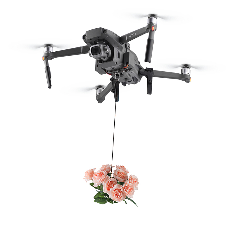 DJI Mavic 2 Pro/Zoom Drone Rin - Drone Rcfpvpro 리뷰 및 가격